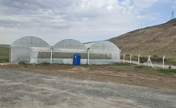 Cizre’de örtü altı yetiştiriciliğine devlet eli
