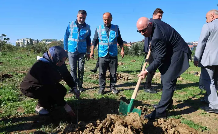 Darıca’da Zeytin Festivali kapsamında 100 fidan dikildi

