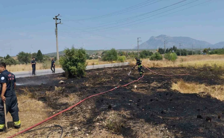 Datça’da kuru ot yangını büyümeden söndürüldü