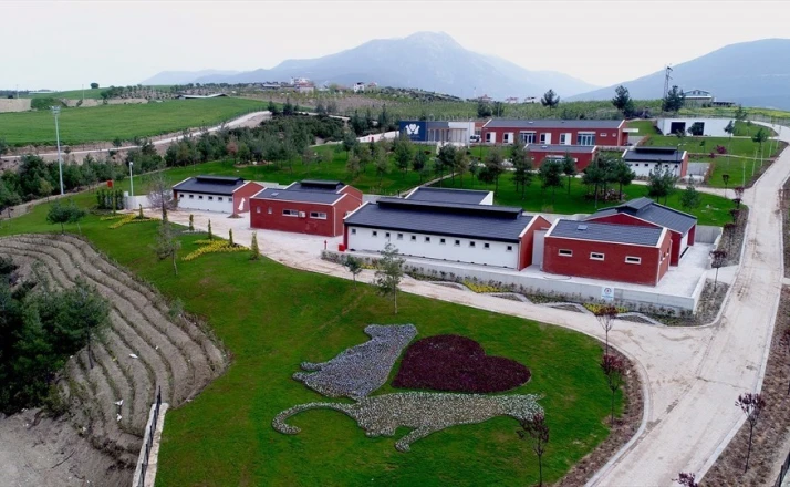 Denizli Büyükşehir Belediyesinden barınak iddialarına suç duyurusu 