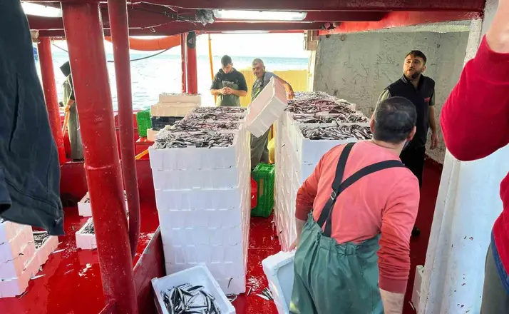 Didim’de ‘Hamsi Kotası’ denetimi yapıldı
