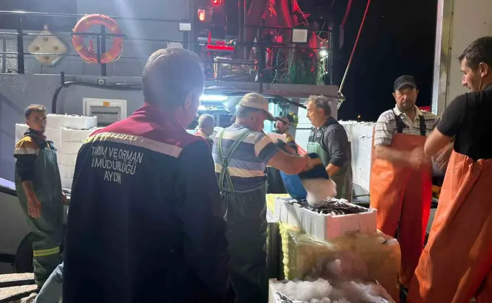 Didim’de ‘Hamsi Kotası’ denetimi yapıldı
