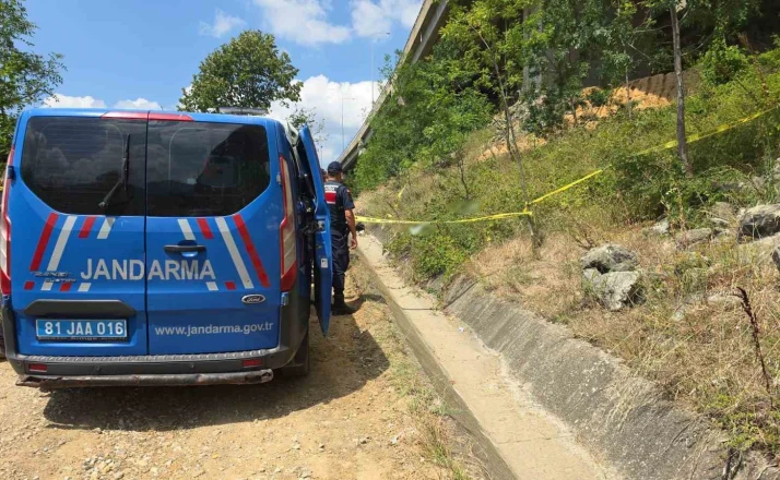 Doktorun cansız bedeni viyadüğün altında bulundu 
