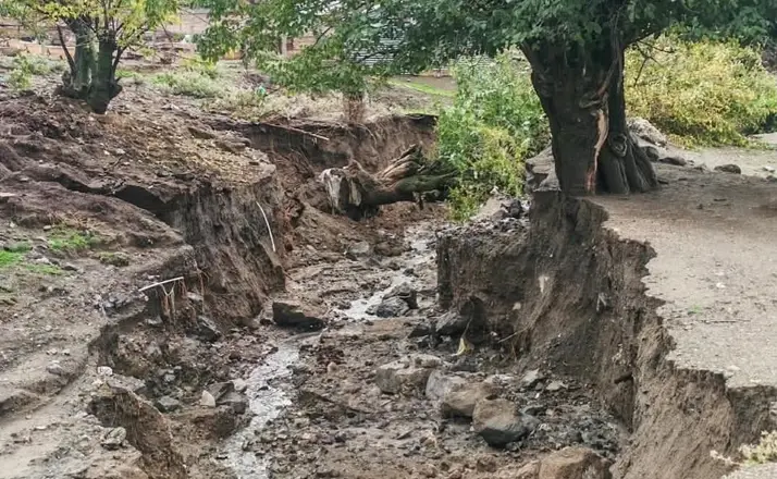 Elazığ’da aşırı yağış sonrası ağaçlar devrildi, derin çukurlar oluştu
