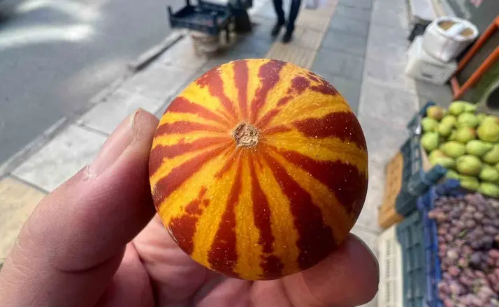Elazığ’da kokulu süs kavunu tezgahlarda
