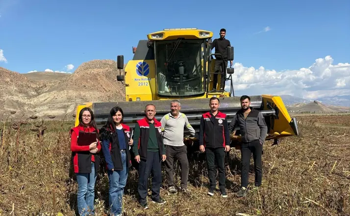 Erzincan’da ayçiçeği hasadında dane kaybına sıkı denetim
