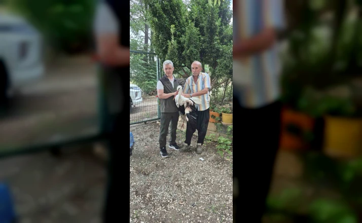 Evinin önüne gelen yaralı leyleğe sahip çıktı 