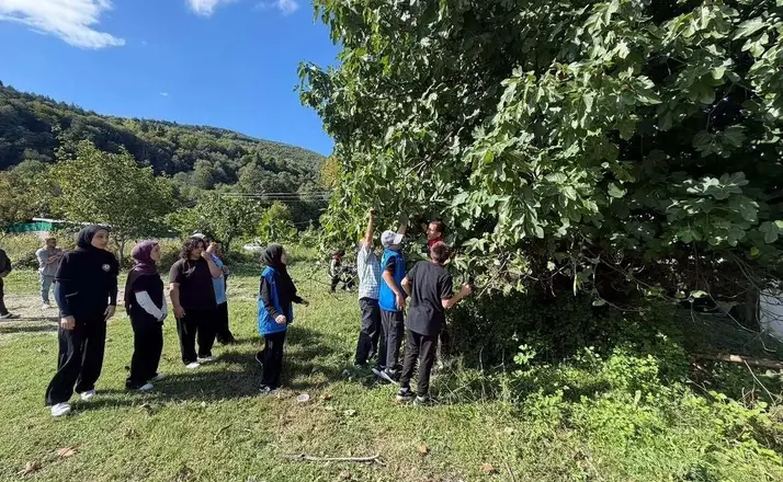 Gençlerin hasat heyecanı
