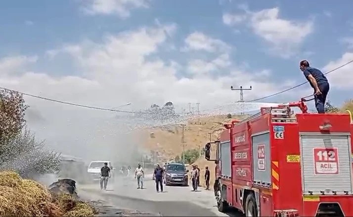 Hakkari’de saman balyaları alevlere teslim oldu 