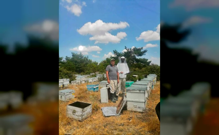 İscehisar’da arılı kovanların tespiti için saha çalışması 