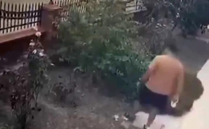 İzmir’de köpeğini gezdiren şahsın yavrulu kediye tekmeli saldırısı kamerada
