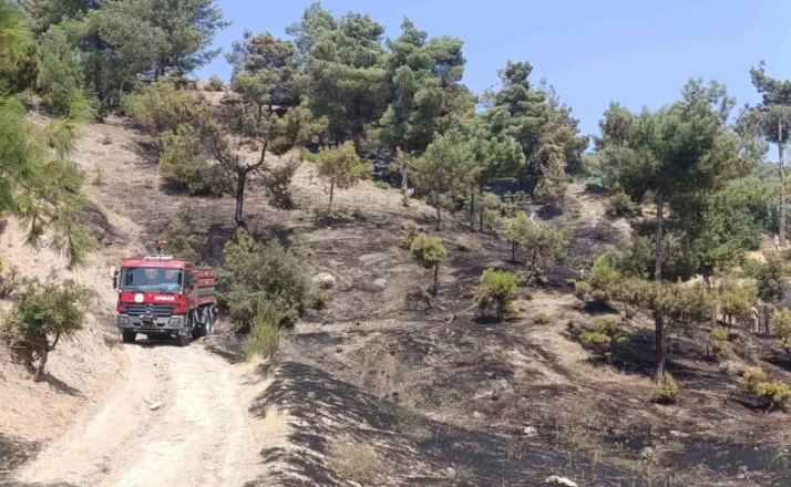 Kahramanmaraş’ta orman yangını kontrol altına alındı 