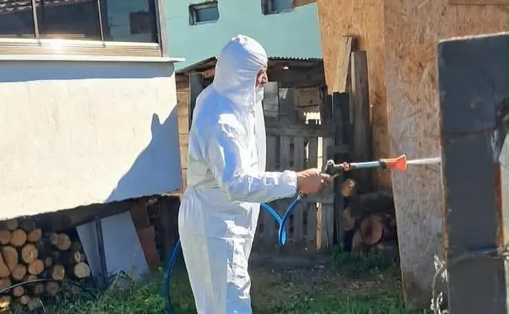 Kahverengi kokarcaya karşı kışlak mücadele
