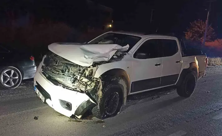 Kamyonetin çarptığı yaya hayatını kaybetti
