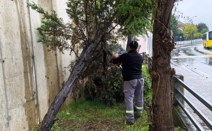 Kartal Belediyesi ekipleri şiddetli yağış ve fırtınaya karşı sahada
