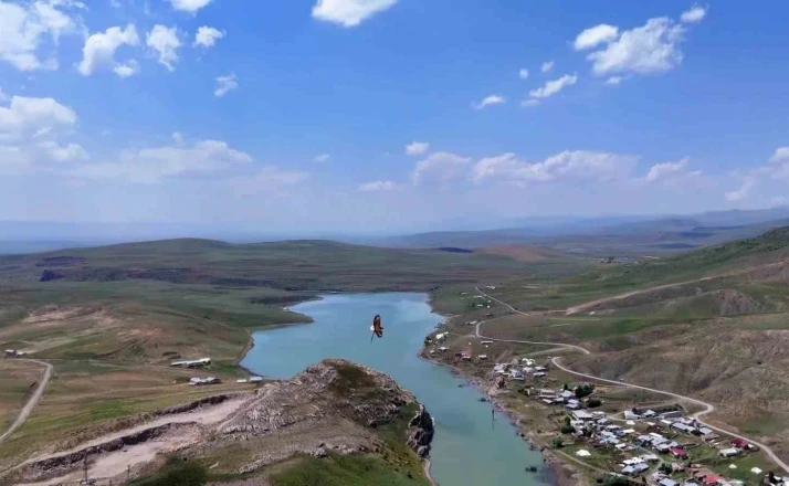 Kartal ile avladığı yılanın gökyüzünde süzüldüğü anlar dron kamerasında 
