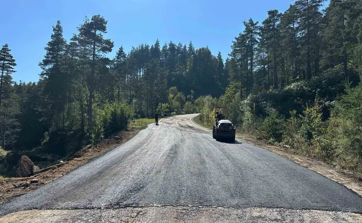 Kaynaşlı Bıçkıyanı-Topuk Yaylası yolunda asfalt yama çalışması
