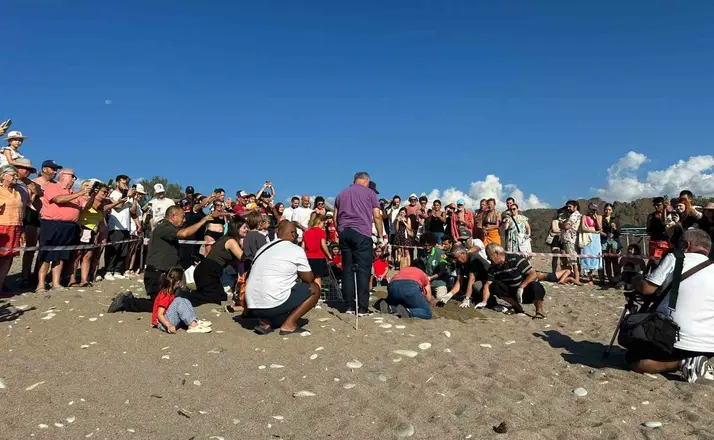 Kemer’de son caretta caretta yuvası açıldı
