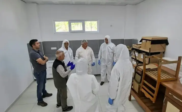 Kestane gal arısına karşı biyolojik mücadele güçlendiriliyor
