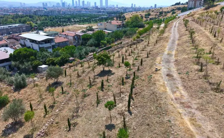 Kıraç topraklarda yeşil dönüşüm
