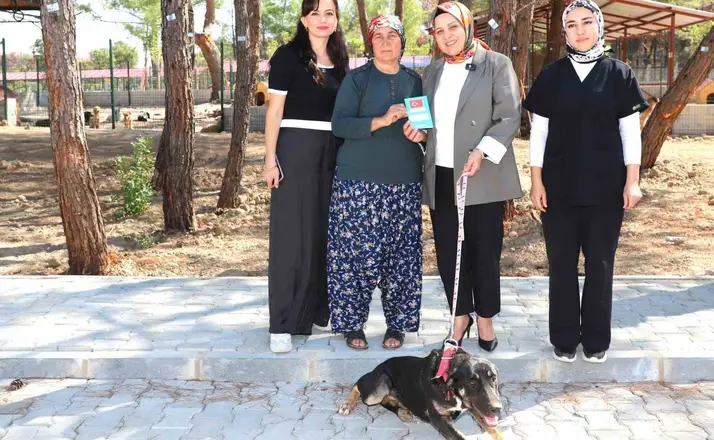 ’Kopi’ yangının ardından yeni yuvasına kavuştu
