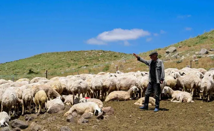 Malatya Büyükşehir Belediyesi 35 yıllık soruna neşter vurdu
