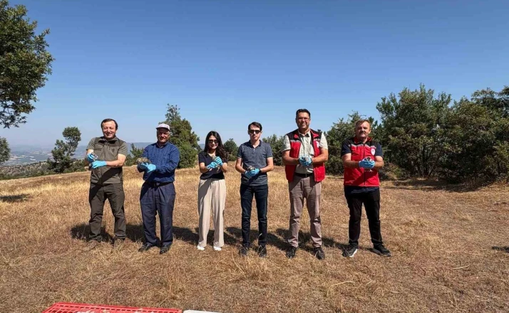 Manisa Gördes’te ekolojik denge için doğaya 500 keklik bırakıldı 