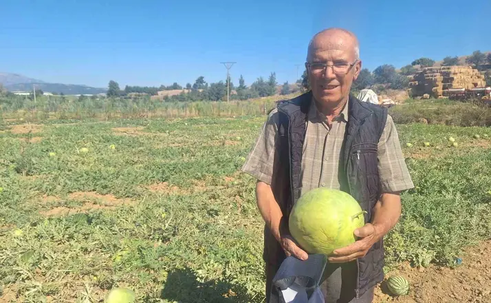 Manisalı çiftçi dede mirası ata tohumu karpuz geleneğini sürdürüyor
