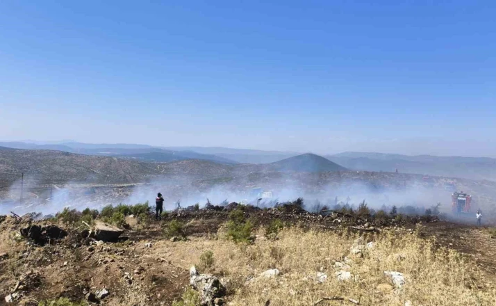 Menteşe’de makilik yangını 