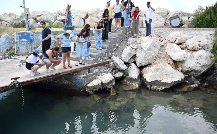 Mersin’de biyolojik çeşitlilik MINKA ile kayıt altına alınıyor
