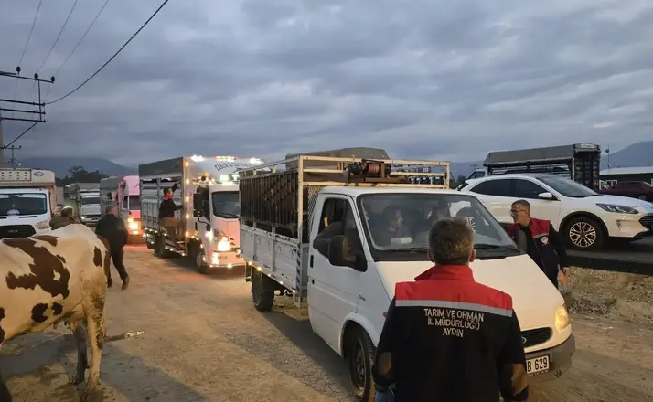 Nazilli Hayvan Pazarı açıldı, denetimler sıkılaştırıldı

