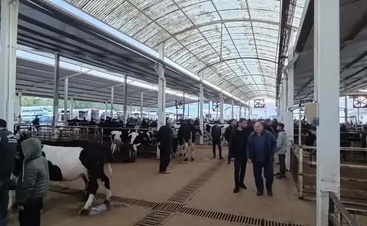 Nazilli Hayvan Pazarı’nda kaçak ve belgesiz hayvanlara geçit yok
