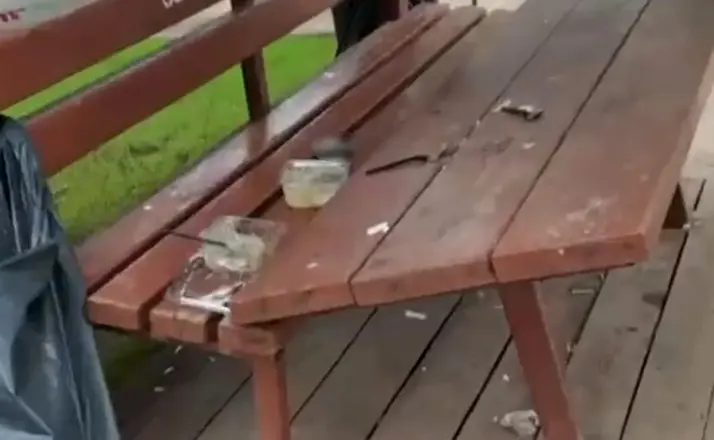 Parka zarar veren vandallara, vatandaş böyle tepki gösterdi
