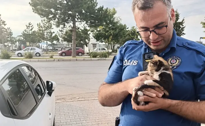 Polis bu kez bir yavru kedi için seferber oldu
