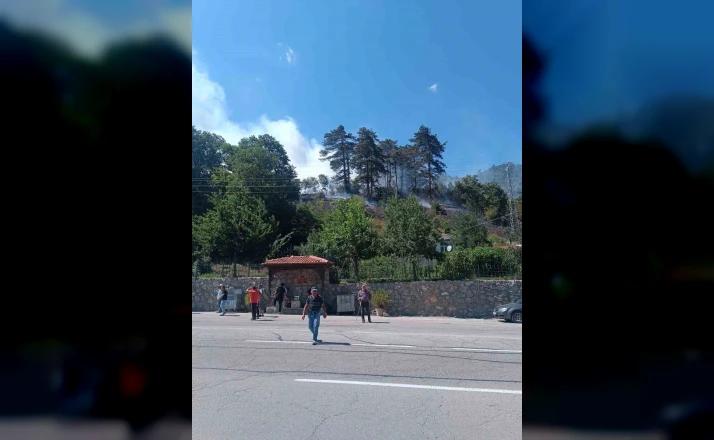 Sinop’taki orman yangınıyla ilgili 1 kişi gözaltında 