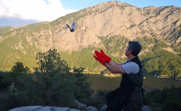 Şuhut’ta üretilen 200 çil keklik Burdur’da doğaya salındı
