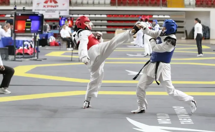 Taekwondo Doğu Grubu Müsabakaları Sivas’ta yapıldı
