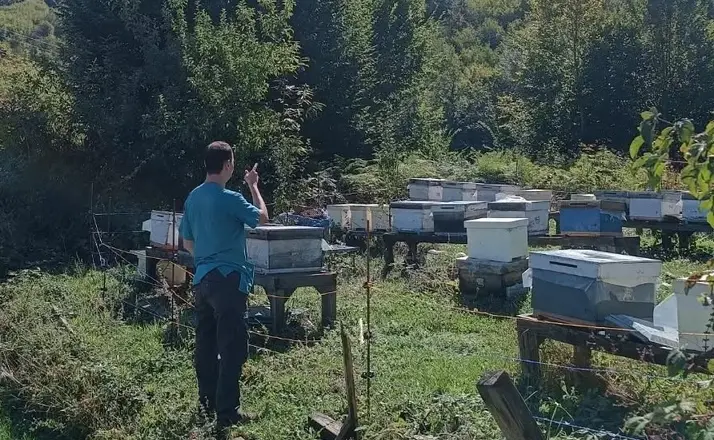 Yığılca’da arılı kovan sayımı yapıldı
