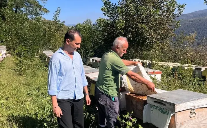 Yığılca’da arılı kovan tespit çalışması
