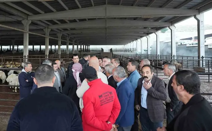 Yılmaz’dan et müjdesi
