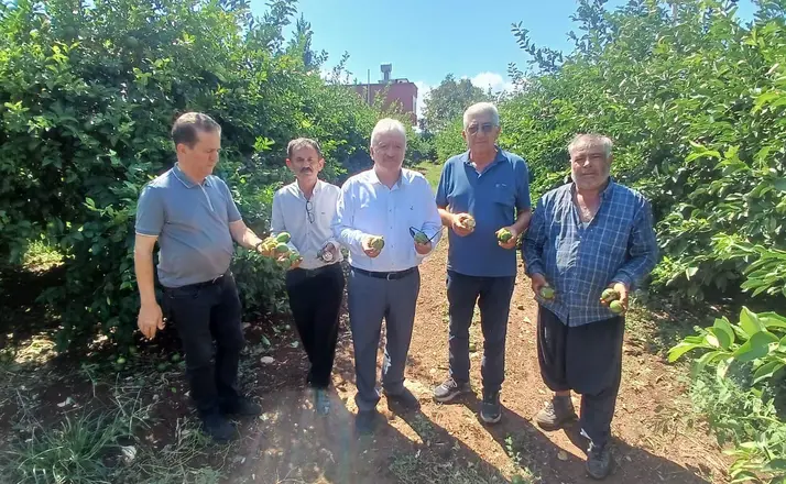 Yüreğir’de dolu afeti: Yaklaşık 35 bin dönüm tarım alanı zarar gördü
