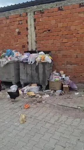 2 haftadır alınmayan çöpler tepki çekti
