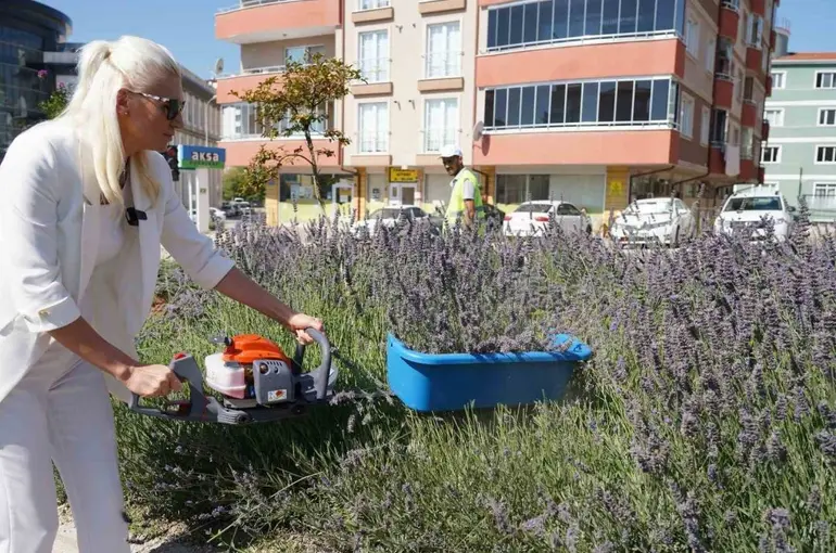 60 ülkeden 381 proje arasında Bilecik ve İstanbul yer aldı
