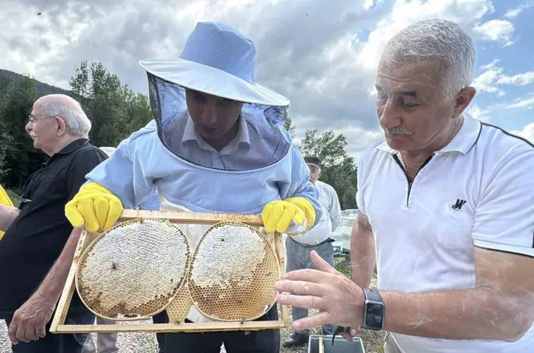 AB tescilli Yenice ıhlamur balında hasat başladı
