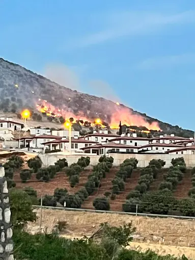 Adıyaman’da ormanlık alanda korkutan yangın
