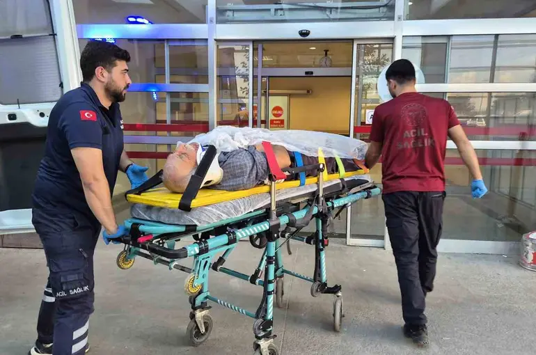 Ağaç keserken düşen yaşlı adam yaralandı
