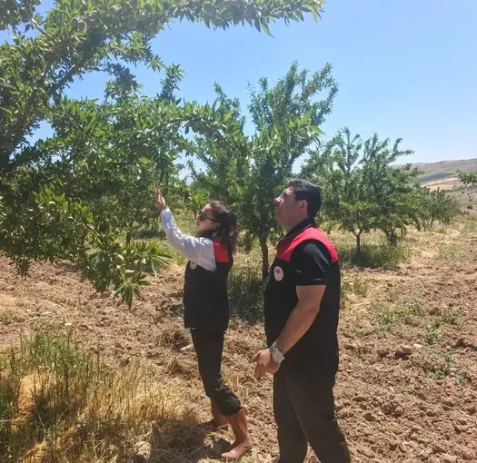 Ağın’da badem bahçelerine hastalık ve zararlı kontrolü
