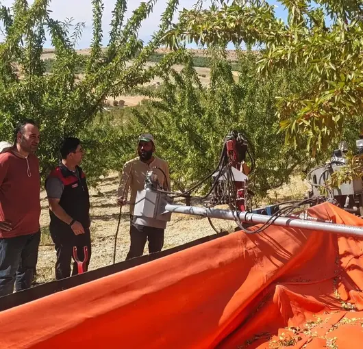 Ağın’daki badem üretim alanlarında inceleme
