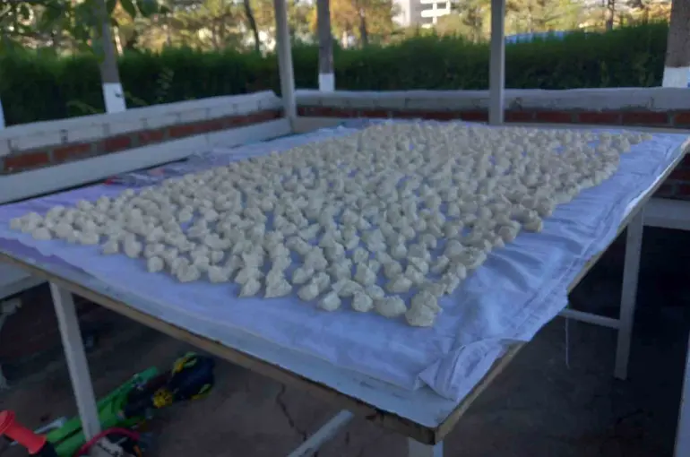 Ailesinin kışlık yiyeceklerinin neredeyse tamamını kendisi üretiyor
