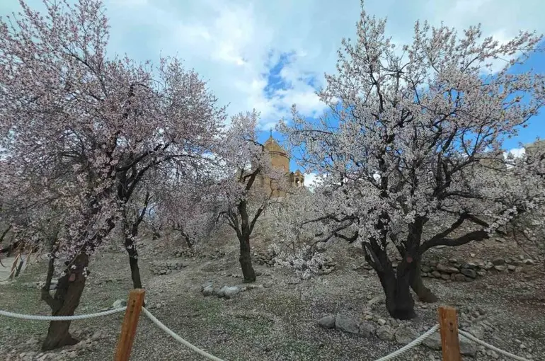 Akdamar Adası’nda renk cümbüşü

